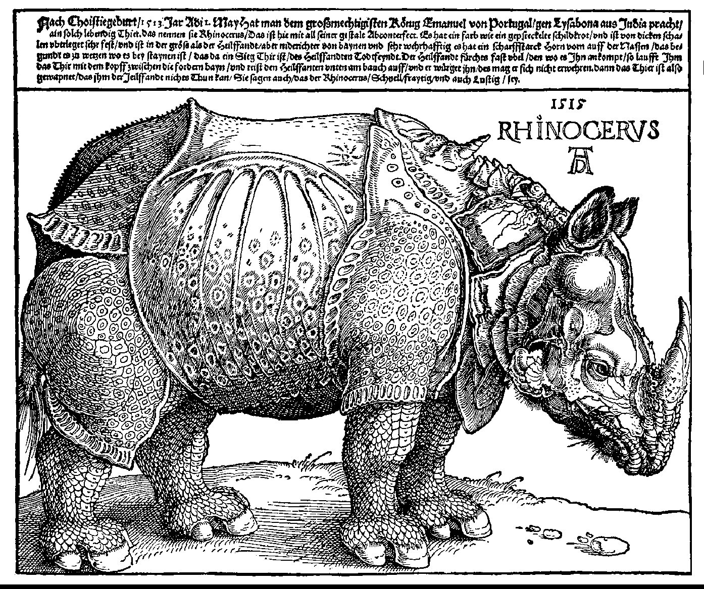 Remembering Albrecht Print Backstory