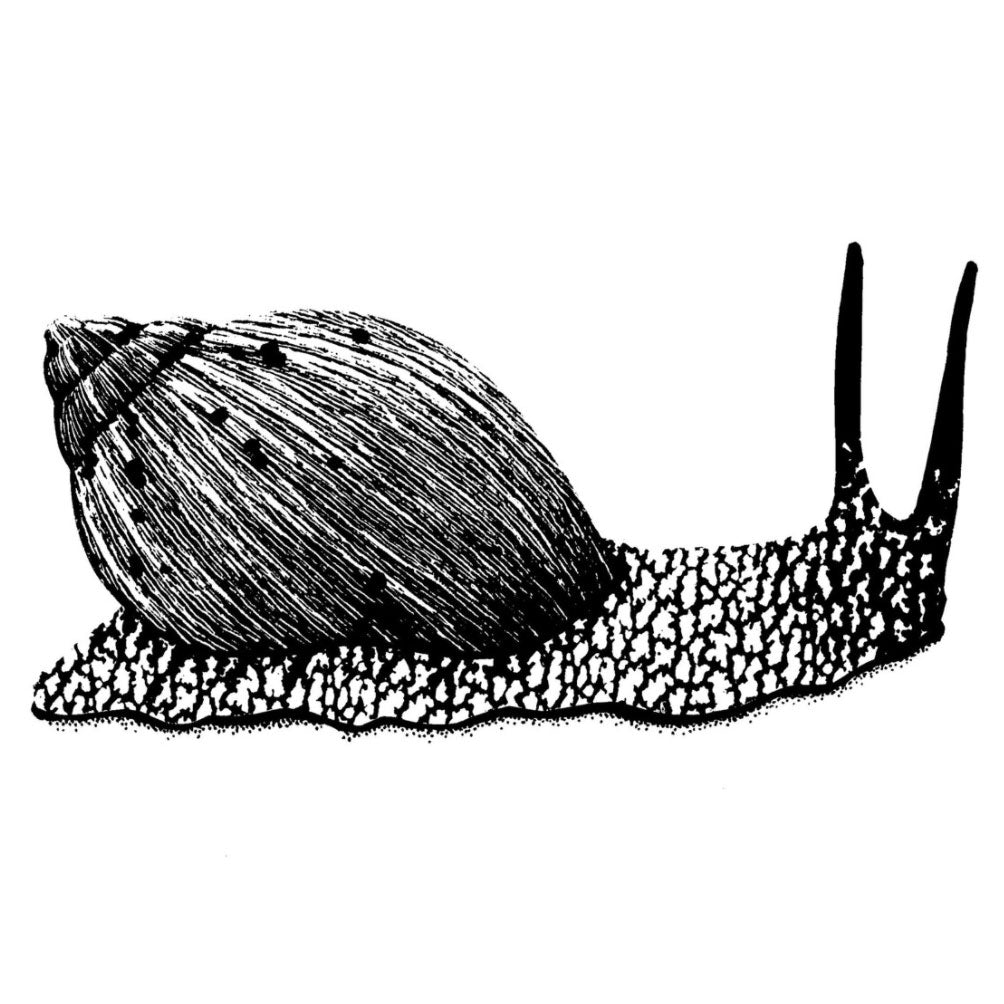 Free shipping on orders over $200