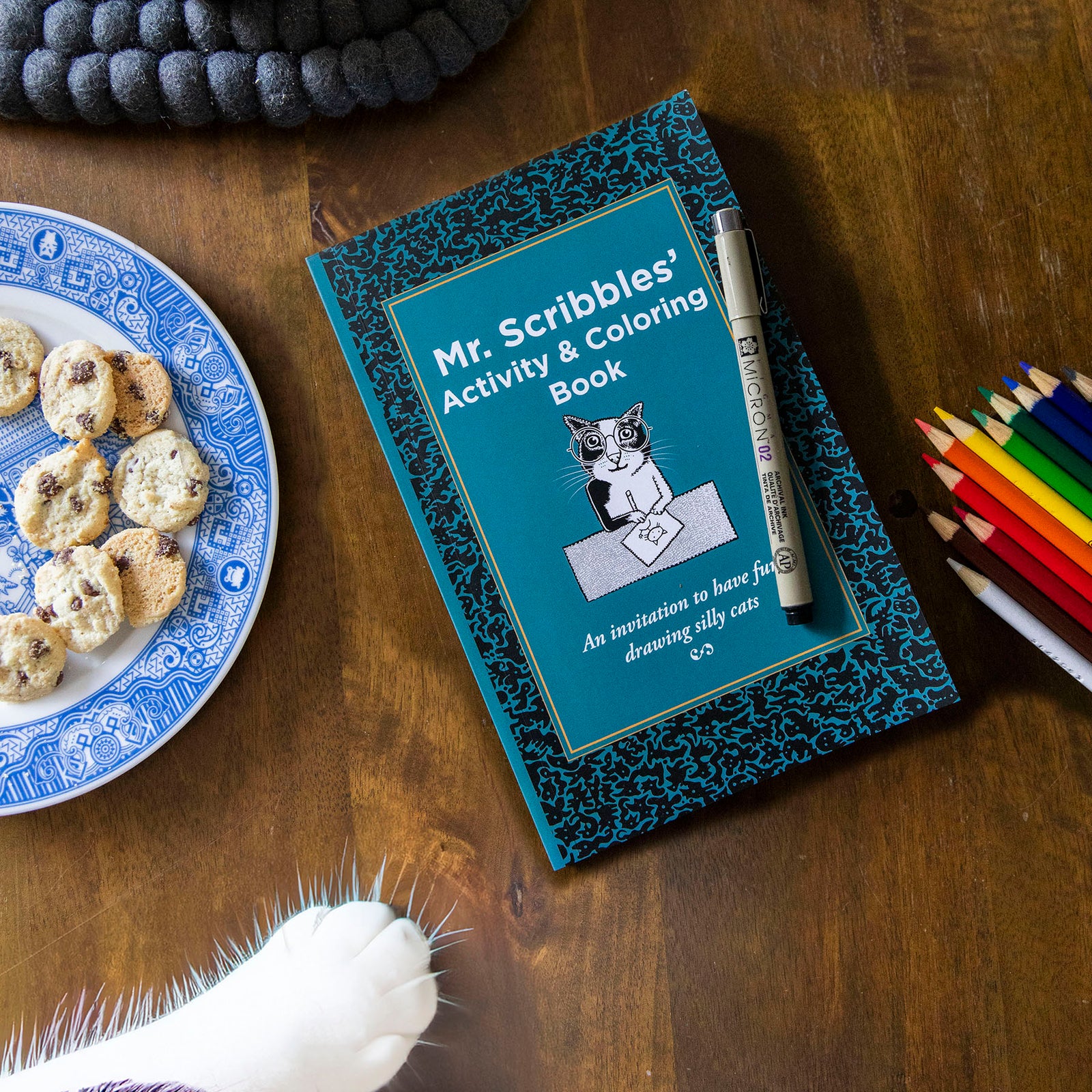 Mr. Scribbles' Activity & Coloring Book