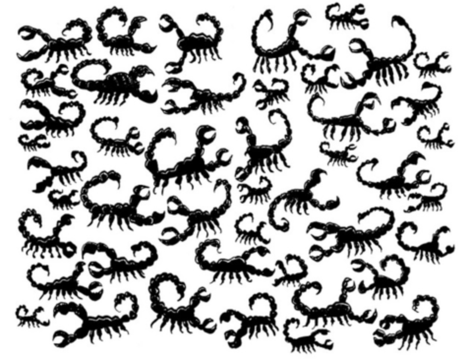 Scorpions in your shoes?