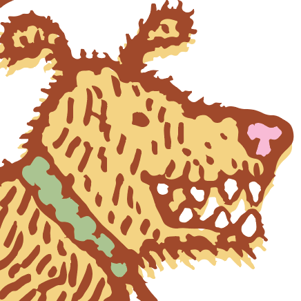 Complain Episode 3: Fitbits