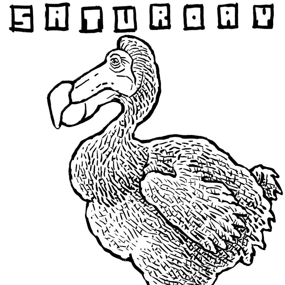 Weekends: Boring Is Best